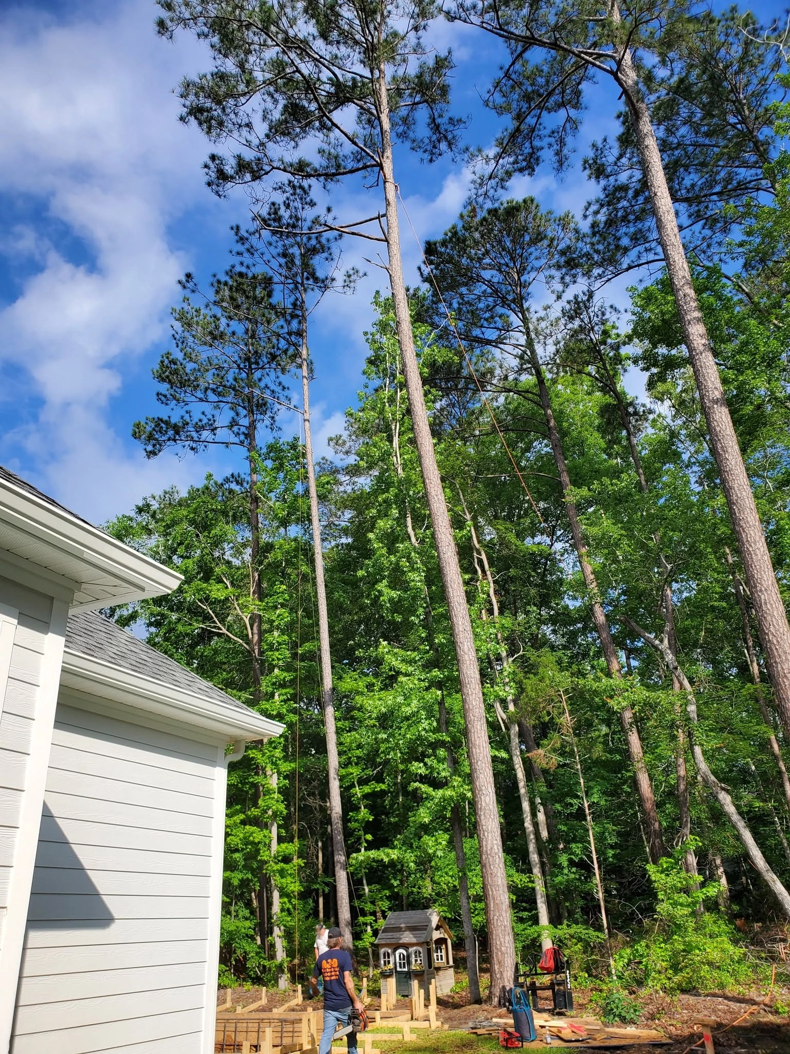 Tall pines rigging lines playhouse white siding house cayce 