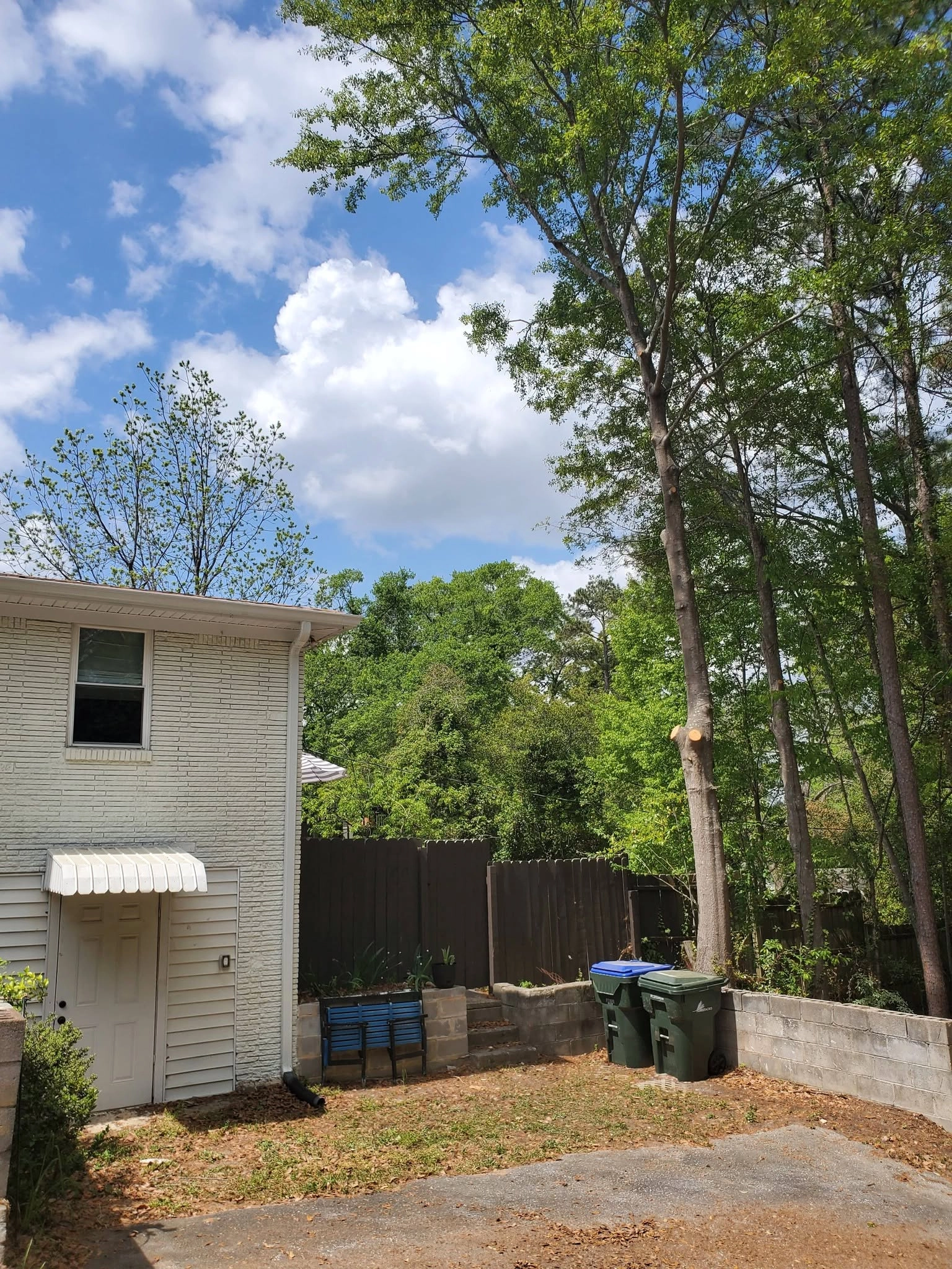 Tall pruned hardwood cinder block wall trash bins painted br