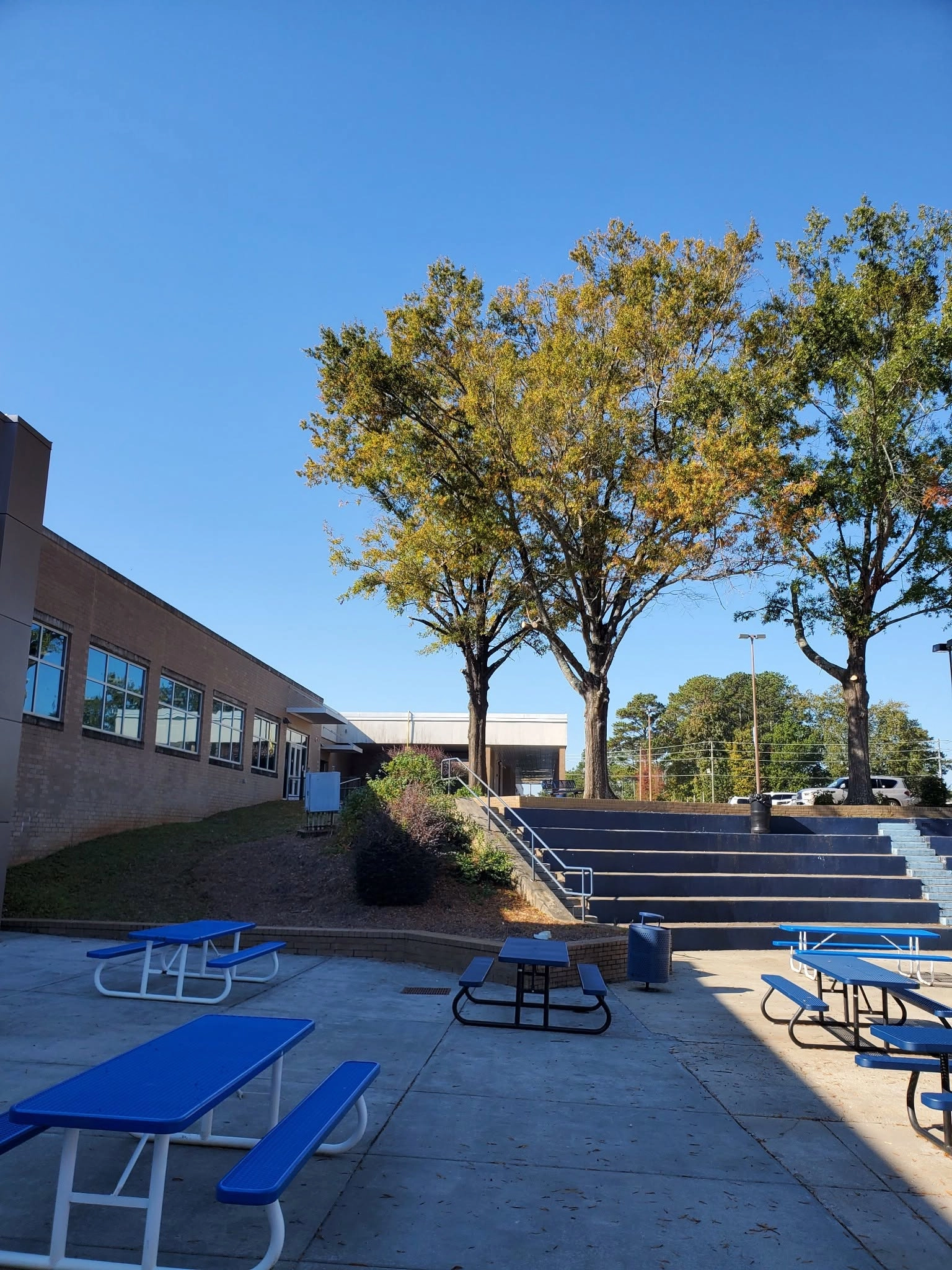 Three hardwoods school amphitheater steps blue picnic tables