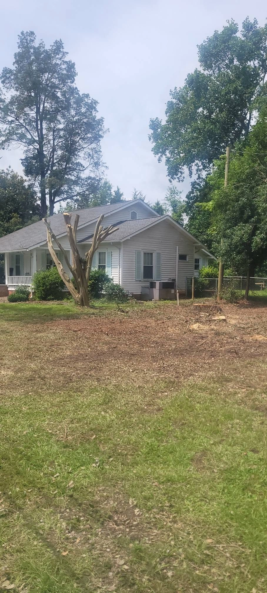 Topped bare crape myrtle fresh stump white cottage teal shut