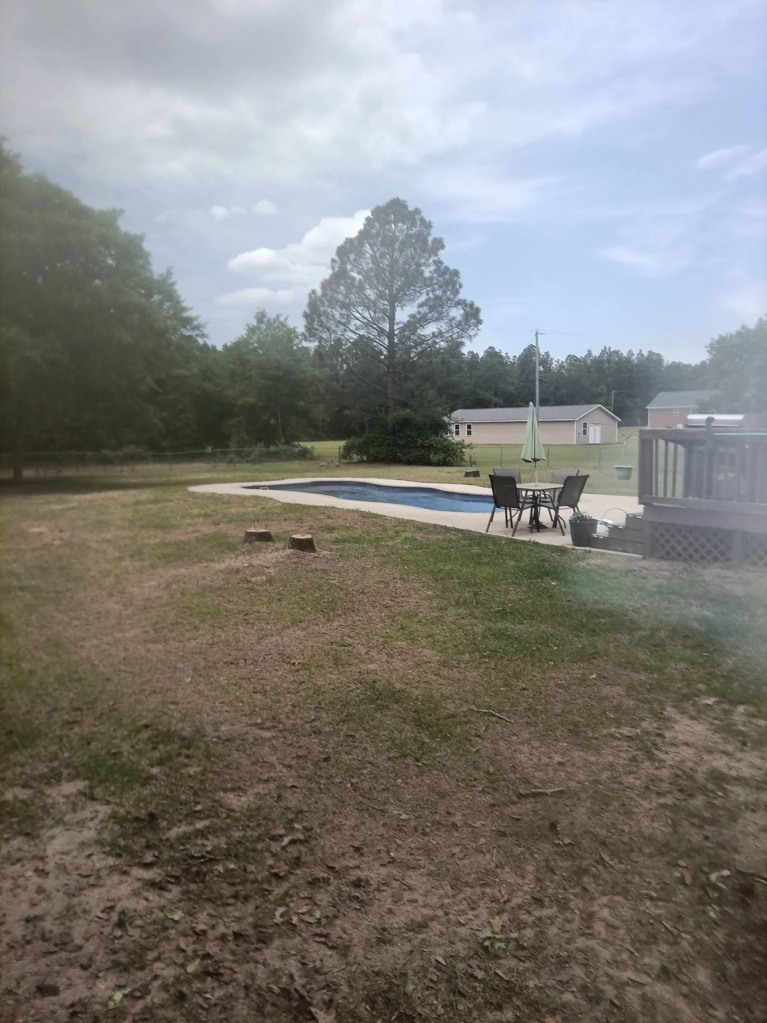 Two cut stumps backyard inground pool deck tall pine cayce s