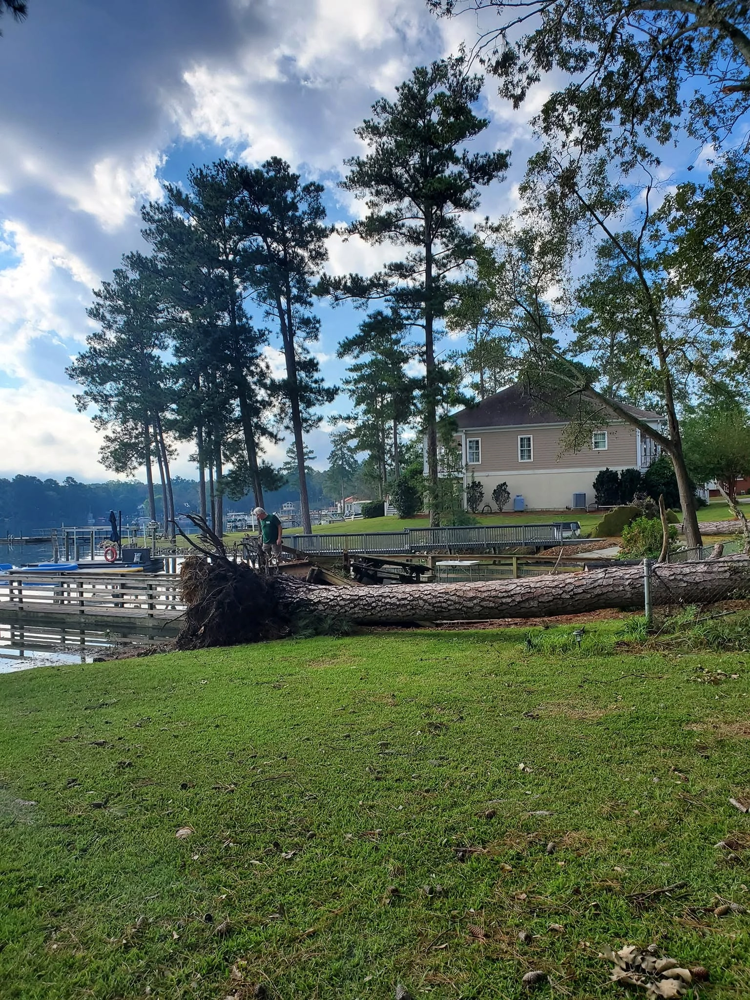 Uprooted pine lakefront dock seawall two story house lake mu