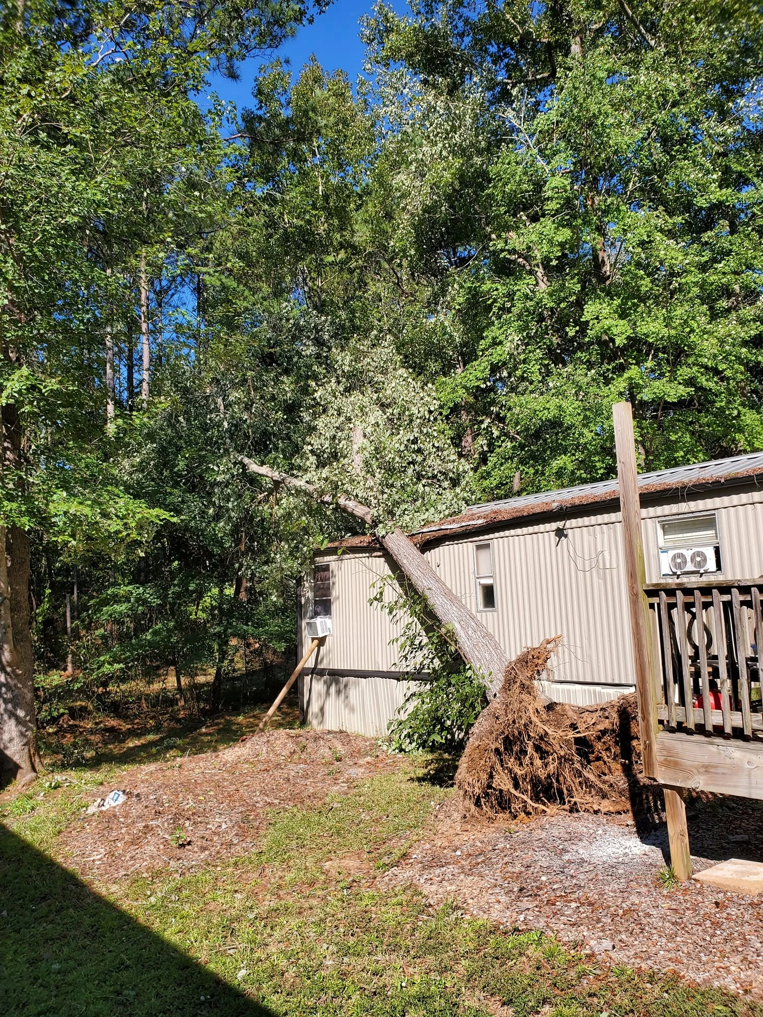 Uprooted tree leaning on mobile home roof wood deck window a