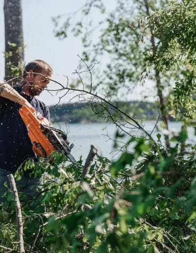 Worker orange chainsaw cutting lakeside brush sawdust flying