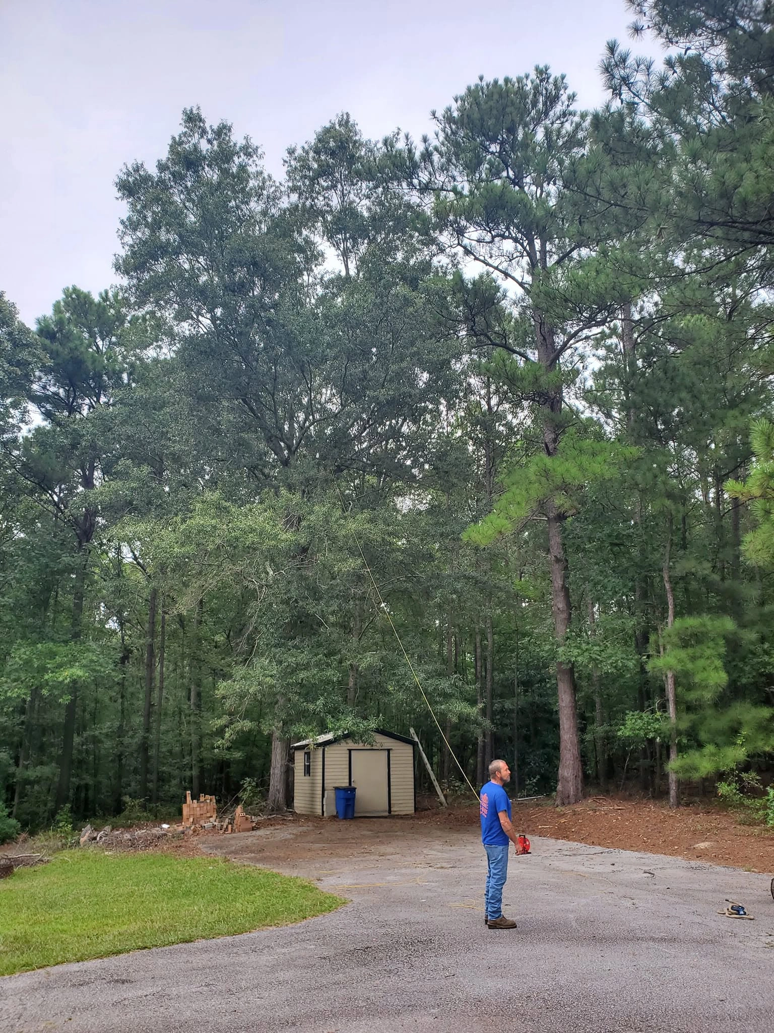 Worker throw line tall hardwood tan shed driveway cayce sc