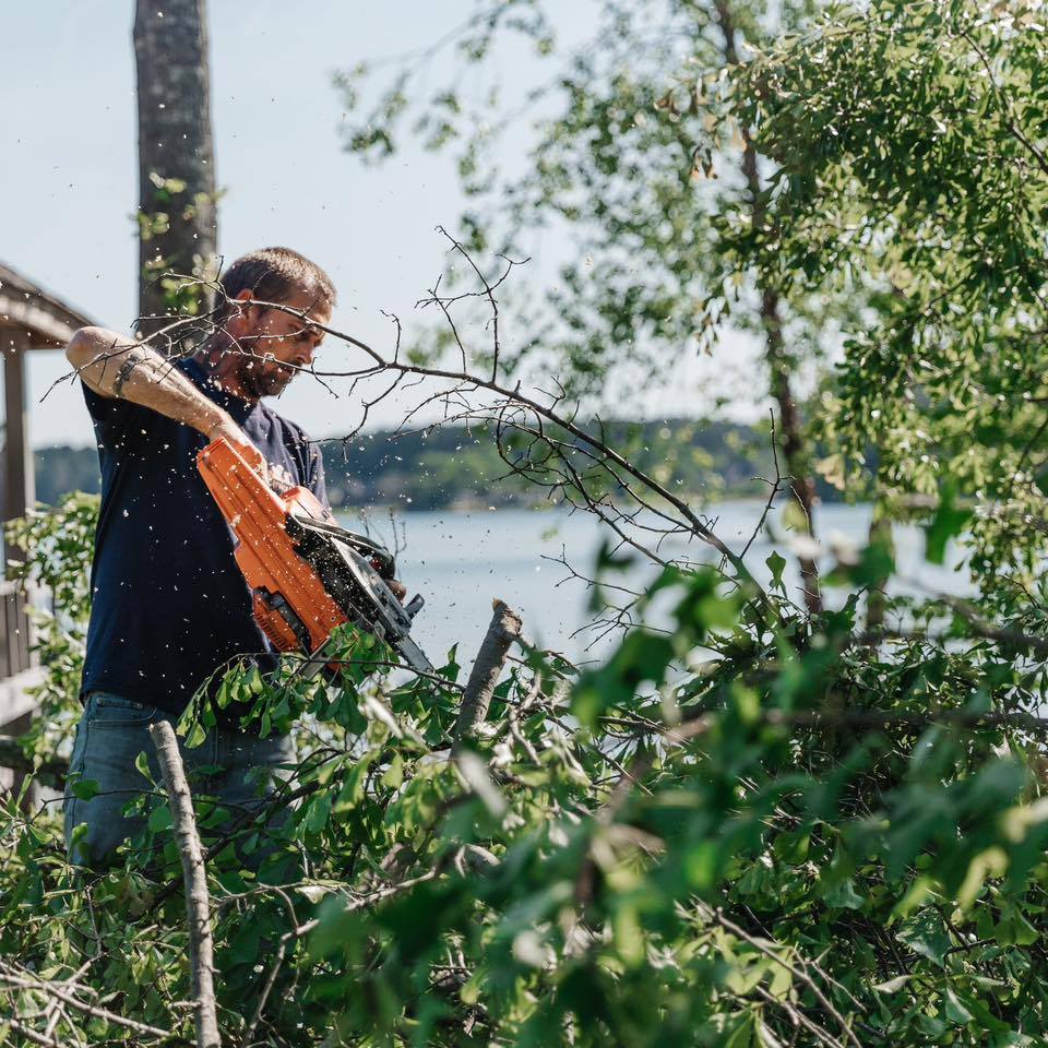 Tree Service Ridgeway South Carolina